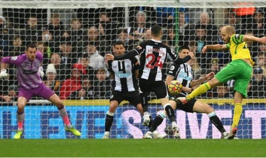  纽卡斯尔联队主场力克布伦特福德